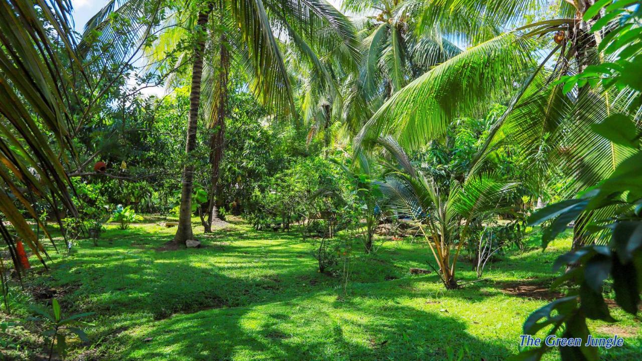 The Green Jungle Dambulla Dış mekan fotoğraf